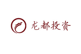 龍都(dōu)投資有(yǒu)限公司網站正式上(shàng)線！